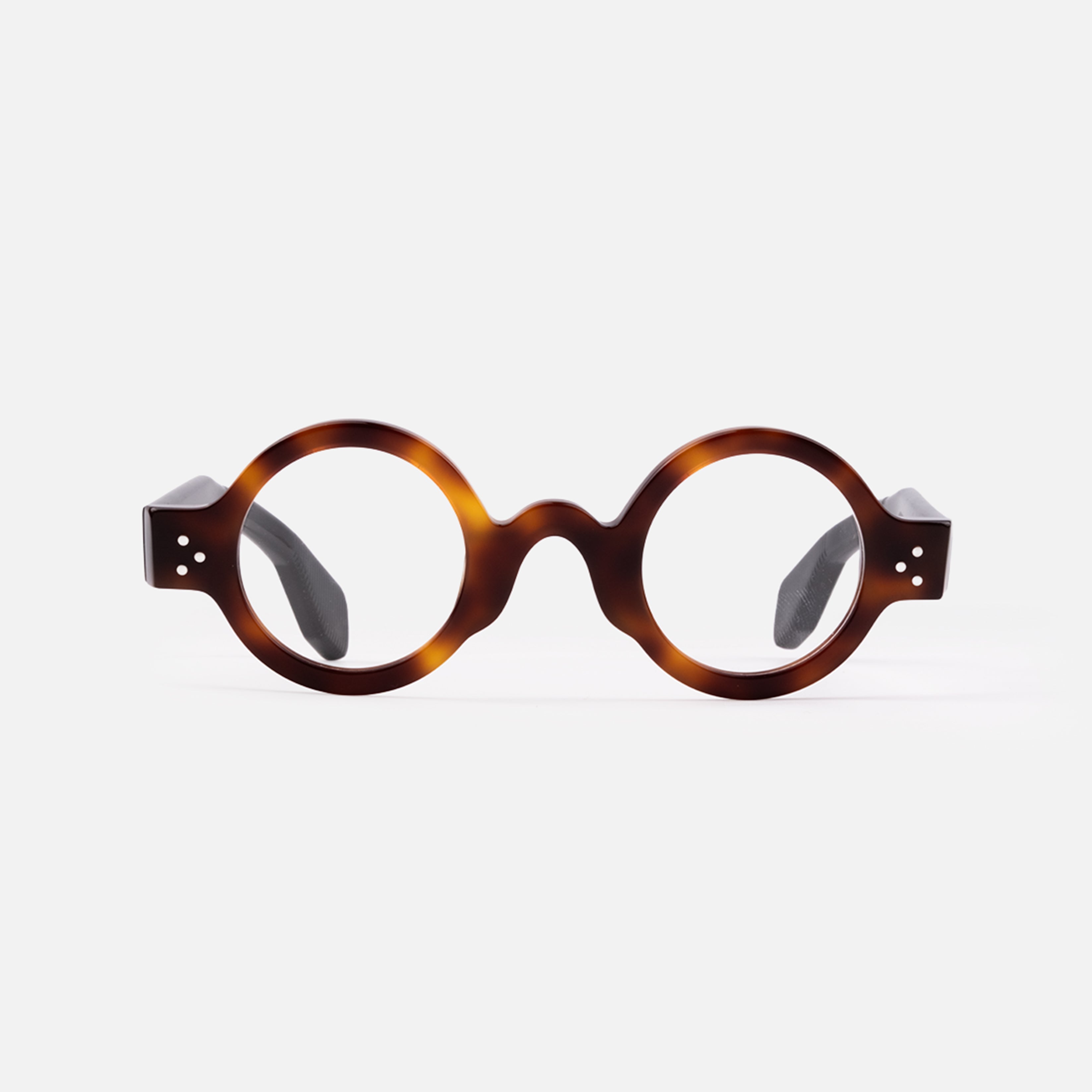 Zweig Tortoise