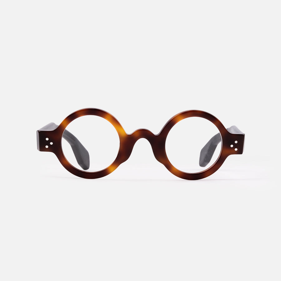 Zweig Tortoise